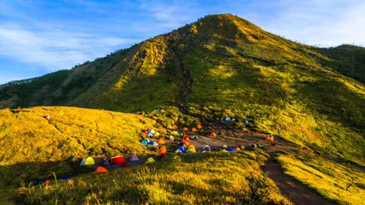 Pendakian Gunung Merbabu