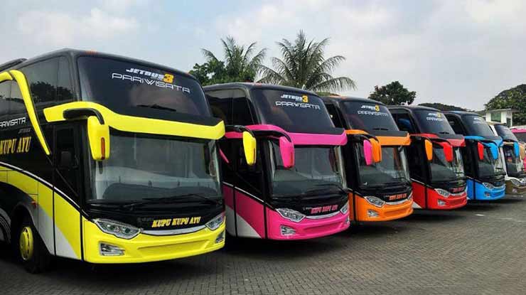 Fasilitas Bus Kupu Kupu Ayu