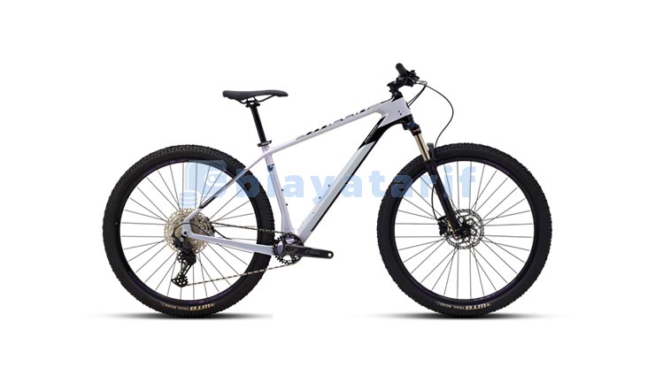 1. Harga Sepeda Polygon MTB