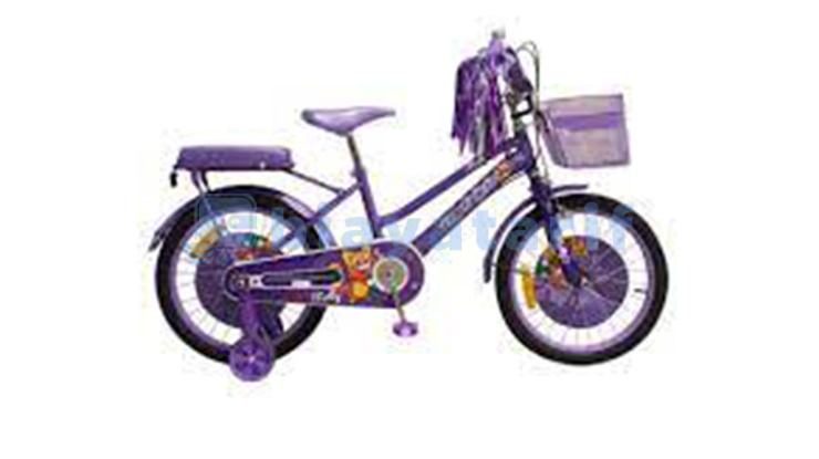 15. Harga Sepeda Anak Perempuan United Molly
